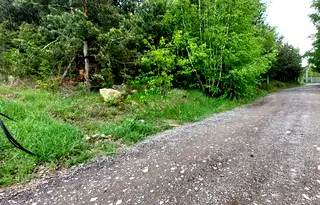 Парцел в с. Бистрица