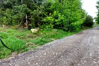 Парцел в с. Бистрица