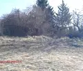 Снимка 4 — Парцел в с. Подгумер