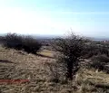 Снимка 5 — Парцел в с. Подгумер