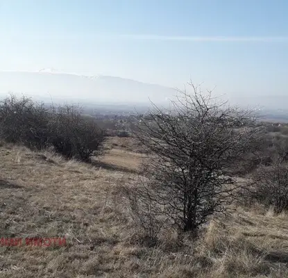 Photo 5 — Plot in Podgumer