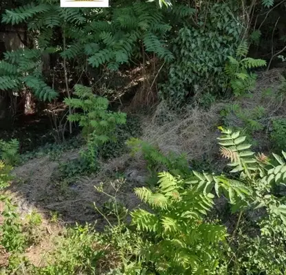 Photo 3 — Plot in Старият