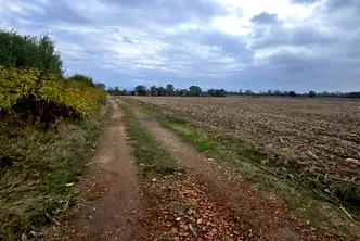 Парцел в с. Житен