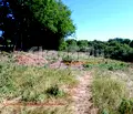 Снимка 4 — Парцел в Банкя