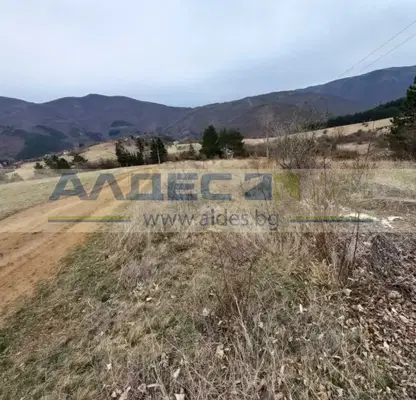 Photo 4 — Plot in Kokalyane