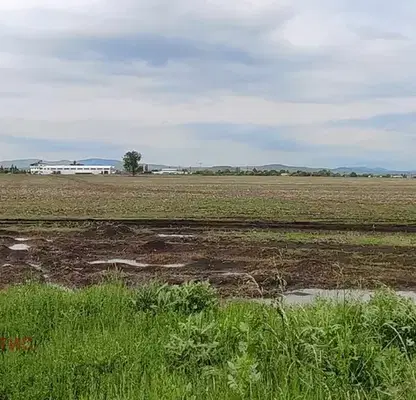 Photo 4 — Plot in Voluyak