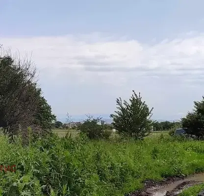 Photo 5 — Plot in Voluyak