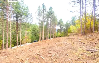 Парцел в с. Панчарево