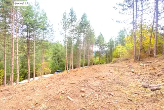 Парцел в с. Панчарево