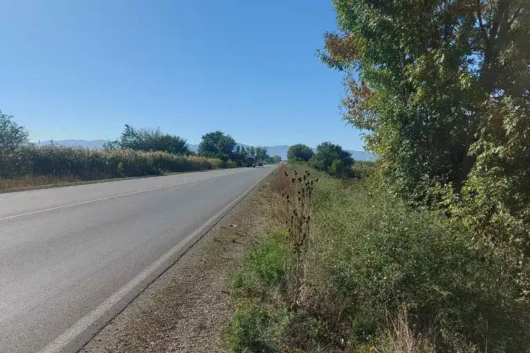 Парцел в с. Чепинци