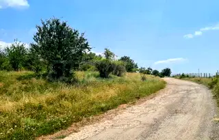 Парцел в с. Войнеговци