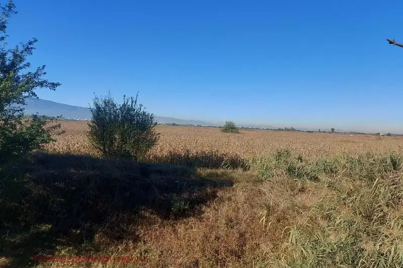 Парцел в с. Чепинци