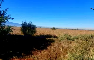 Парцел в с. Чепинци