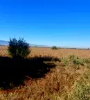 Парцел в с. Чепинци