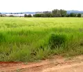 Снимка 4 — Парцел в с. Чепинци