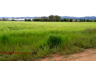 Парцел в с. Чепинци