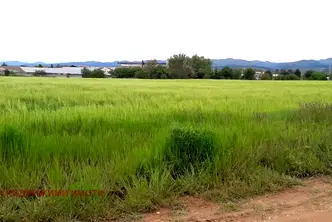 Парцел в с. Чепинци