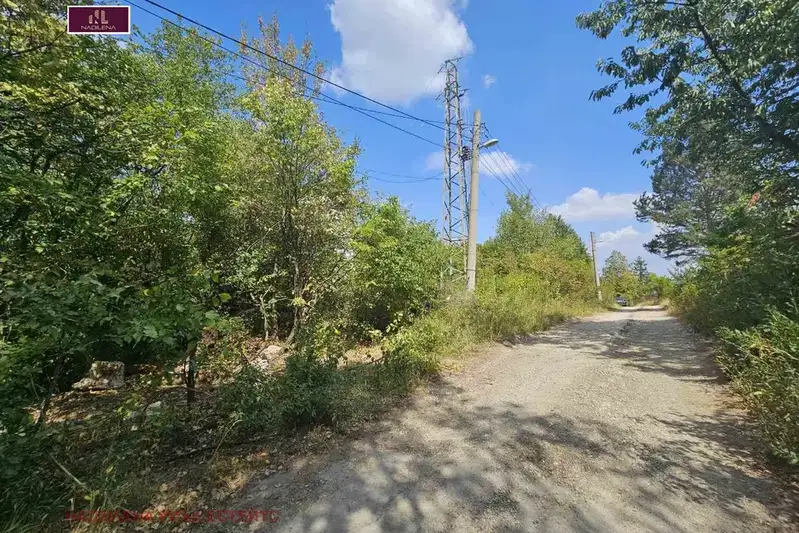 Plot in Bistrica