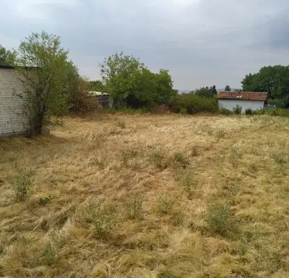 Photo 5 — Plot in Yana