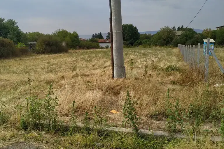 Plot in Yana
