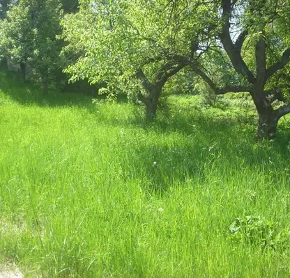 Photo 2 — Plot in Vladaya