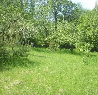 Photo 3 — Plot in Vladaya