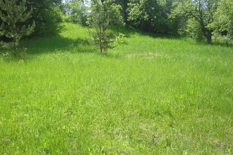 Plot in Vladaya