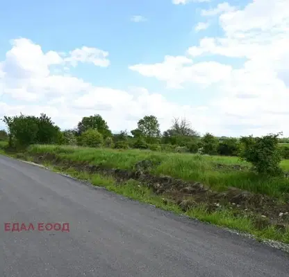 Photo 4 — Plot in Ivanyane