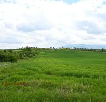 Photo 5 — Plot in Ivanyane