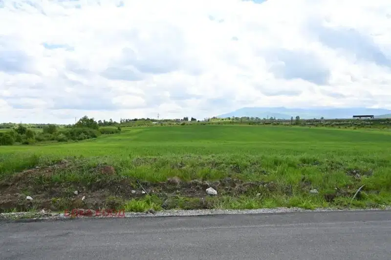 Plot in Ivanyane