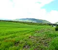 Снимка 4 — Парцел в с. Мало Бучино
