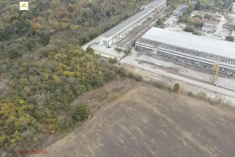 Plot in Topoli