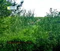 Снимка 2 — Парцел в с. Панчарево