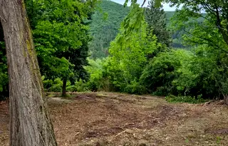 Парцел в с. Панчарево