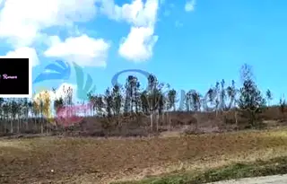 Парцел в с. Тополи