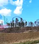 Парцел в с. Тополи