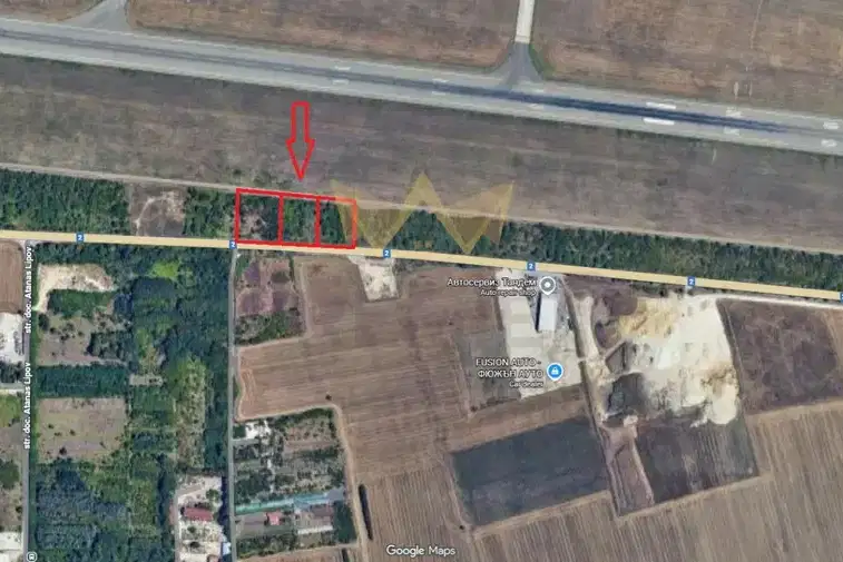Plot in Topoli