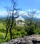 Парцел в с. Бистрица