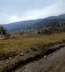 Парцел в с. Владая