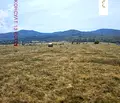 Снимка 5 — Парцел в Банкя