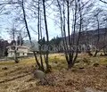 Снимка 2 — Парцел в с. Бистрица