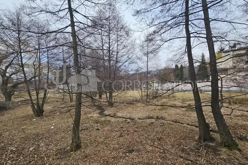 Plot in Bistrica