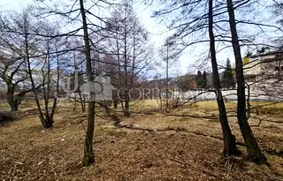Парцел в с. Бистрица