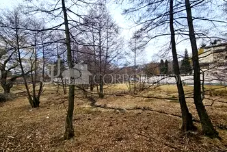 Парцел в с. Бистрица