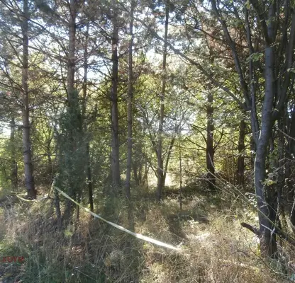 Photo 3 — Plot in Bistrica