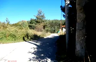 Парцел в с. Бистрица