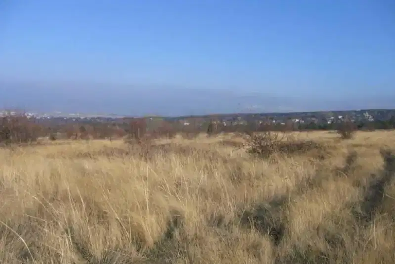 Парцел в с. Лозен