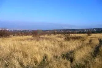 Парцел в с. Лозен