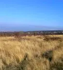 Парцел в с. Лозен