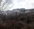 Снимка 5 — Парцел в Студентско че